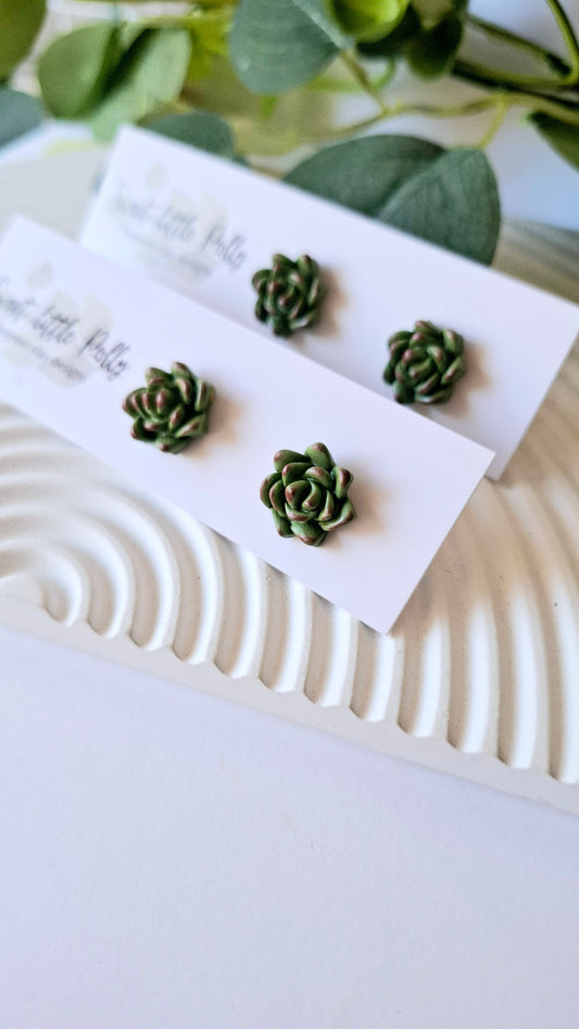 .Sweet Succulent Studs